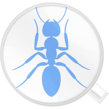 ants logo