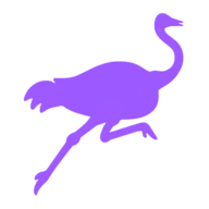 Nostrology logo